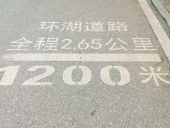 -海珠湖公园