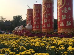 -珠海圆明新园