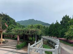 -灵光寺