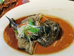 -同庆楼(华强吾悦广场店)