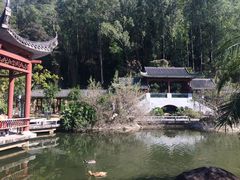 -广州神农草堂中医药博物馆
