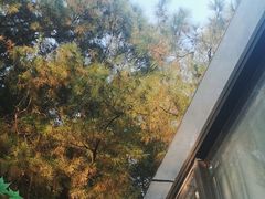 -巴倒烫陆派重庆火锅(南山店)
