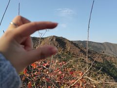 -香山公园