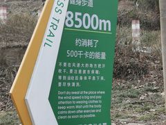 -南京老山国家森林公园