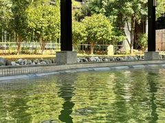 -三江森林温泉度假区