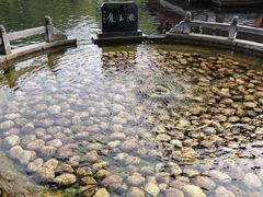 -百脉泉景区