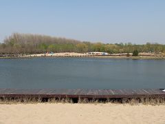 -东郊湿地公园
