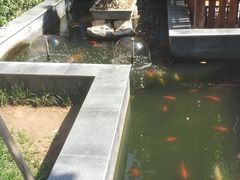 餐饮设施-老北京风情街