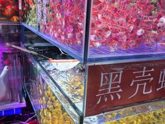 -青石桥花鸟鱼虫市场(叠翠城店)