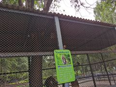 -长白岛森林公园