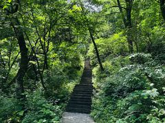 -西安祥峪森林公园