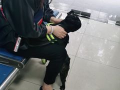 -申普宠物医院·眼科·心内科·影像科(普陀分院)