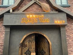 -雪灵魔法世界SHELLY’S TAROT(大良桂畔里店)