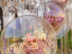 -海心沙亚运公园