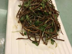 -福禄财东北菜(珠江帝景店)