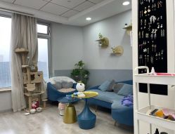 -熙画美上门化妆·化妆课·新娘跟妆(上海体育场店)