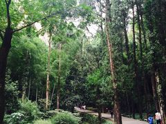 -雁荡山风景名胜区-小龙湫