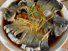 -煲来饱去冷水鱼