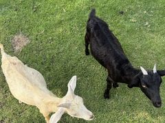 -东南花都花博园