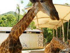 -泉州海丝野生动物世界