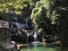 -鼎湖山风景区