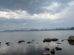 -洱海月湿地公园