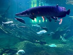 -华夏文旅海洋公园