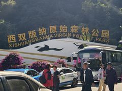 -西双版纳原始森林公园