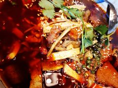 -羲和雅苑•北京烤鸭(平安国际金融中心店)