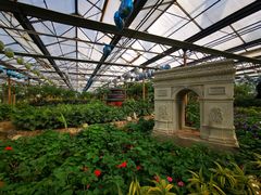 -南宫五洲植物乐园