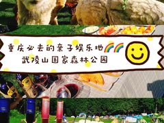 -武陵山森林公园