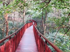 -石燕湖生态旅游景区