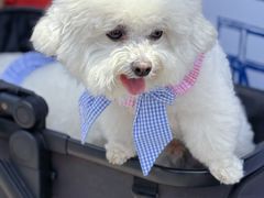 -上海港国际客运中心