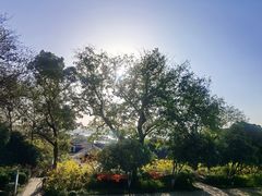 -上海市保健医疗中心