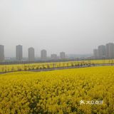 重庆周边游攻略
