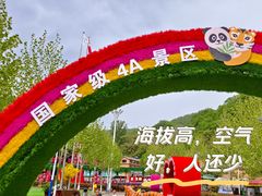 -栾川竹海野生动物园