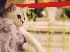 -海棠花溪(元大都城垣遗址公园)