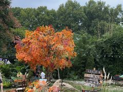 -HERRE·FARM 赫尔露营农场·团建聚会包场