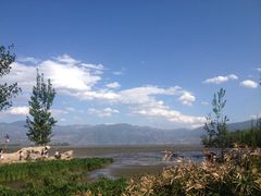 iphone_upload_pic-西昌邛海湿地