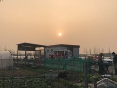 -小鱼草莓采摘园农家乐·小鱼餐厅