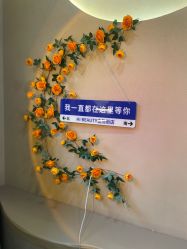 -Hi Beauty Skin 科技美肤中心