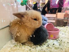-7mall美食潮地标