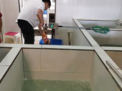 -贡椒鱼老店·雅安十大名店