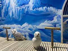 -成都浩海立方海洋公园