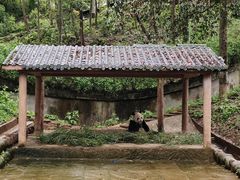-中国大熊猫保护研究中心雅安碧峰峡基地