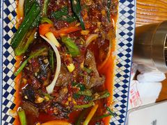 -柴窝堡22号辣子鸡·传承新疆菜