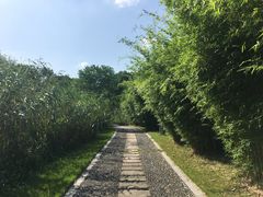 -太阳岛度假酒店