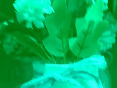 -大鸭梨烤鸭(枣园店)