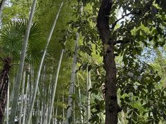 -上海佘山国家森林公园西佘山园