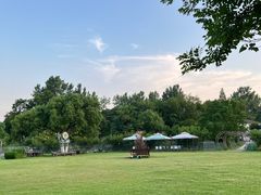 -汤山温泉房车营地 茶温泉